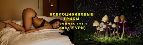 прущая мука Новозыбков
