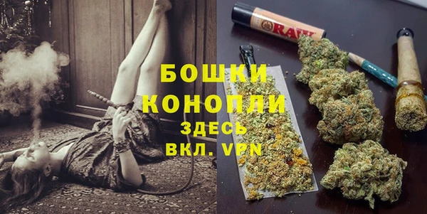 стафф Нефтекумск