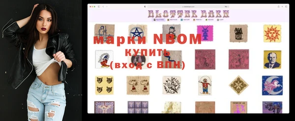 стафф Нефтекумск