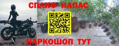 шишки Волгодонск