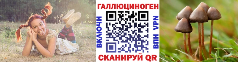 OMG зеркало  купить закладку  Магадан  Псилоцибиновые грибы Cubensis 